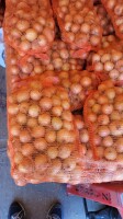 Sprzedam cebulę worek 10 kg kaliber 5-8 ładna z jasna łuska ilości paletowe