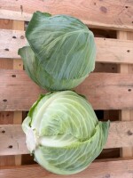 Sprzedam kapustę białą główki 1-3.5 kg  Twarde odmiany 
Opakowanie dowolne 
Duże ilość