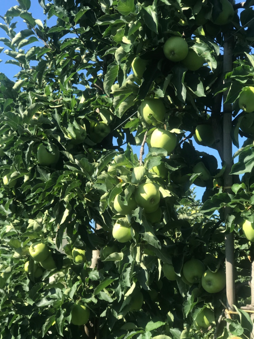 zdjecie-2
