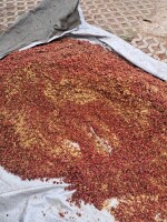 Sprzedam suszoną róże karpatię ładnie wybarwiona ilośc 6 ton