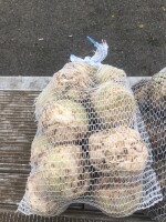 Sprzedam myty seler pakowany worek 5kg lub skrzynka wszystko do dogadania  Ilości paletowe szykowane pod zamówienie