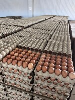 Cena wyjsciowa : Jajka M 30szt 11,66 pln
Jajka L  30szt  12.01 pln
Opakowanie produktu

Produkty pakowane są w tacki po 30 jaj.
10 tacek tworzy jedną