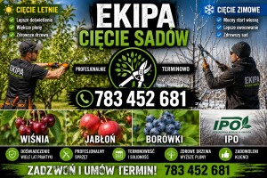 Ekipa cięcie sądów letnie zimowe wiśnia jabłoń borówki