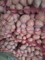 Sprzedam ziemniaki Bellarosa Soraya. Ziemniaki pakowane w worki 15 kg.
Ziemniaki z jasnej ziemi.
Ilości busowe.