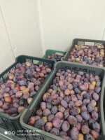 Sprzedam śliwę amers zerwaną z nalotem w skrzynkach 20 kg