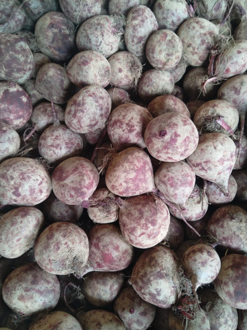 zdjecie-2