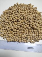 Sprzedam groch paszowy w big bagach. Wilgotność 11 %, zanieczyszczenia 0,3 %. Cena 1050.00 PLN netto z dostawą do centralnej Polski.