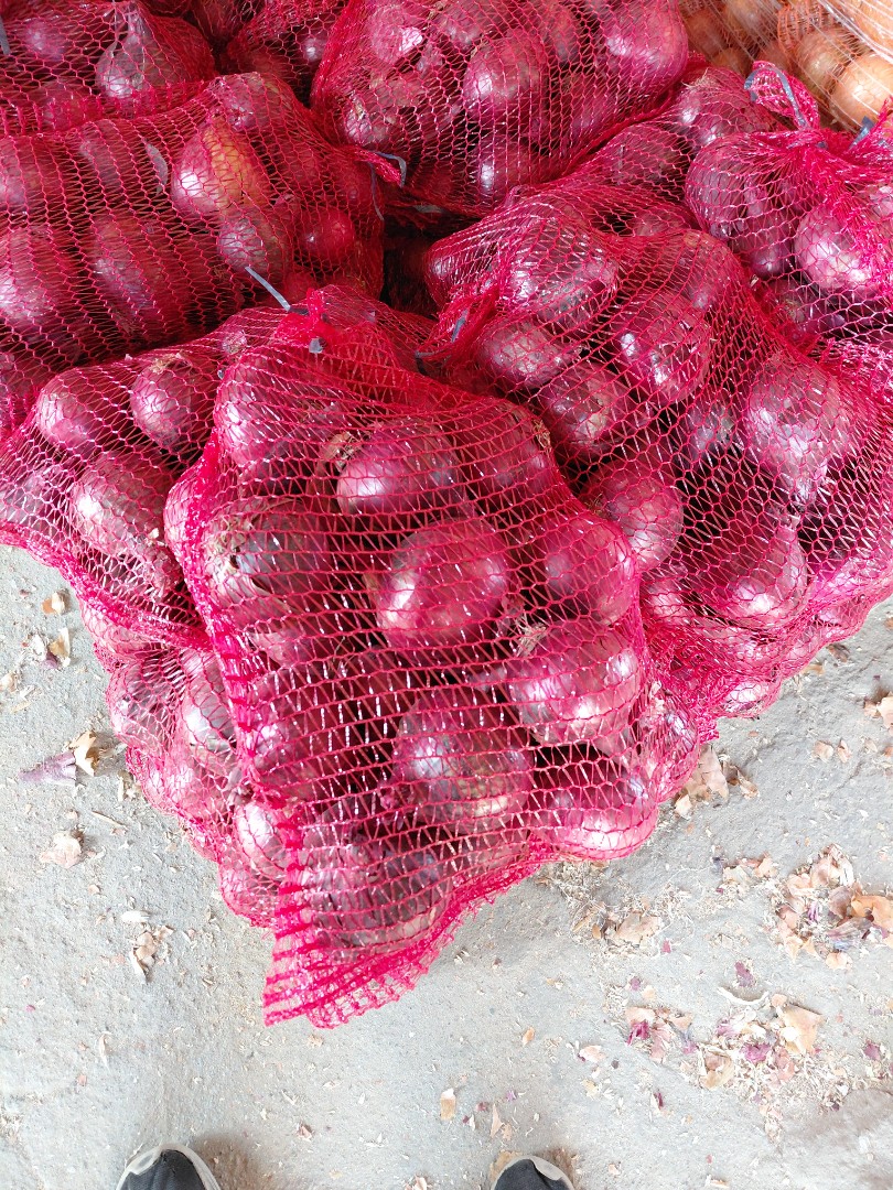 zdjecie-2