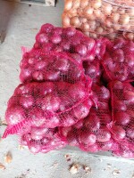 Sprzedam cebule czerwonom 5+ cena 2zł za kg