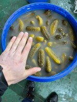 Jesteśmy otwarci na współpracę z hurtowniami, sklepami oraz branżą gastronomiczną.