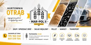 Kupie każde zboże ilości całosamochodowe szybka płatność możliwość gotówki na wadze