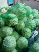 Sprzedam kapustę białą na wagę nadaje się na surówki bądź kiszenie odmiana Gregorian kaliber 1-3.5kg  posiadam około 5 ton kapusta po obraniu jest bia