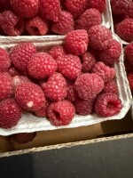 Sprzedam Malinę 8x250g pulpa