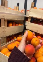 Sprzedam morele Kaliber 35+
Odmiana Hargrand
Ilość 15 ton
Cena 4 zł/kg
