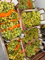 Sprzedam winogrono białe 7kg opak  Kraj pochodzenia Włochy