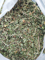 Oregano omłot