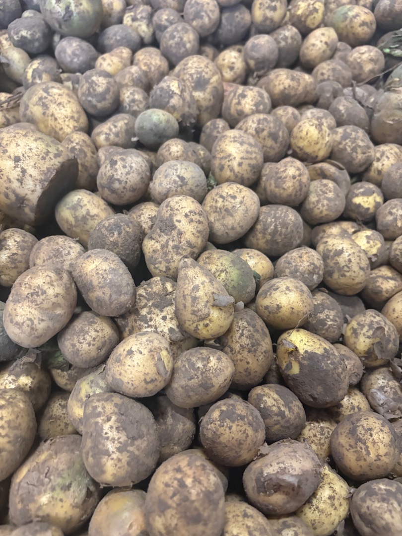 zdjecie-2