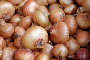 Kupię cebulę na obieranie. Cena 0,50 PLN/kg. Płatność gotówką.