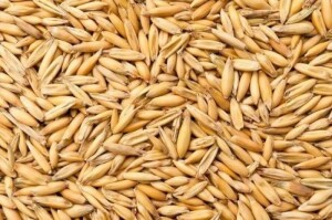 Sprzedam owies sezon 2026.  25 ton
Załadunek w cenie
Kontakt: 660 220 007