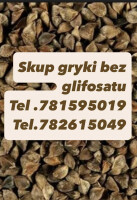 Kupię grykę bez glifosatu możliwy odbiór na terenie kraju cena do uzgodnienia