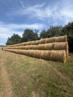 Sprzedam słomę zytnia zbiór 2026 200 szt bele 120