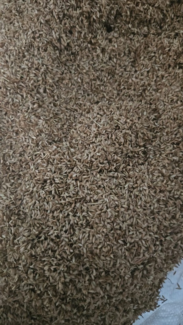 zdjecie-1