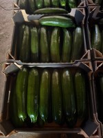 Witam sprzedam cukinię kaliber 250-500 gram od teraz do końca sezonu około 1000kg dziennie tel 516249592