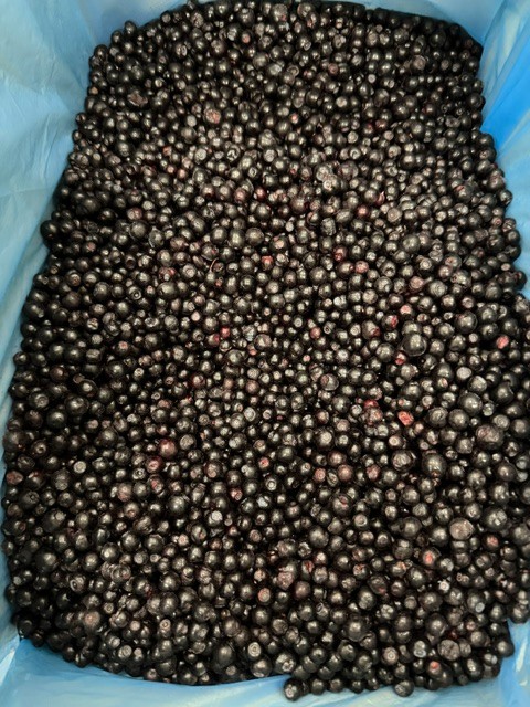 zdjecie-2