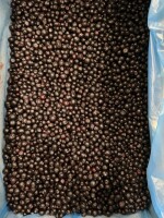 Wild Blueberries. A - class; IQF (tunnel frozen)