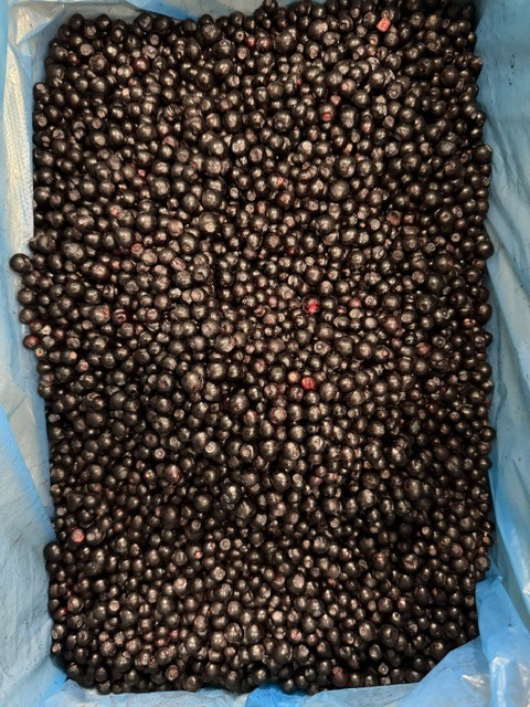 zdjecie-4