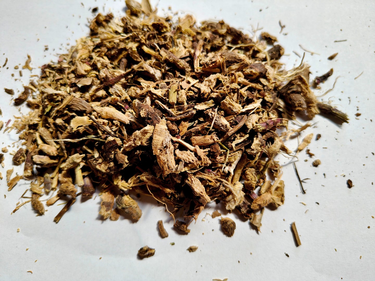 zdjecie-1
