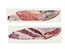 Mrożone żeberka jagnięce z mostkiem, pakowanie po 2szt.vac, karton ok.12kg. Zainteresowanych zapraszam do kontaktu.