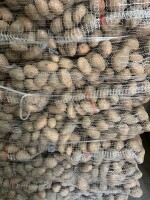 Sprzedam ziemniaki odmiany irga ilość 20ton