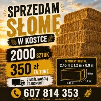 Sprzedam słomę pszenną.