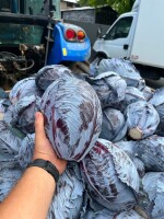 Sprzedam kapuste czerwoną. Kaliber 1-2,5kg. Jakość marketowa, zdrowa w  środku, z nalotem.  Zapraszam do kontaktu.