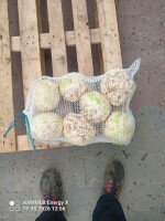 Witam. Sprzedam seler w kalibrazu od 1.2kg do2.50kg myty lub brudny. Więcej info udzielę telefonicznie