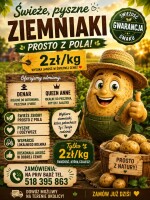 Chętnych zapraszam, proszę pisać lub dzwonić. Każda ilość.