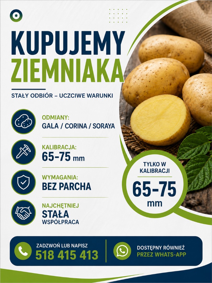 zdjecie-1