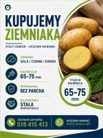 Kupię ziemniaki Gala / Corina / Soraya  Kalibracja 65-75 mm, towar bez parcha