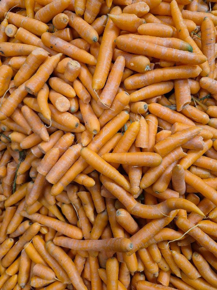 zdjecie-1