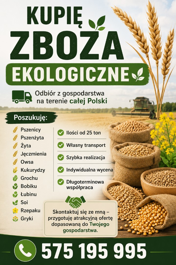 zdjecie-2