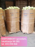 Sprzedam kartonboxy. Różne rodzaje, z napisami i bez napisów. Tel. 693098868