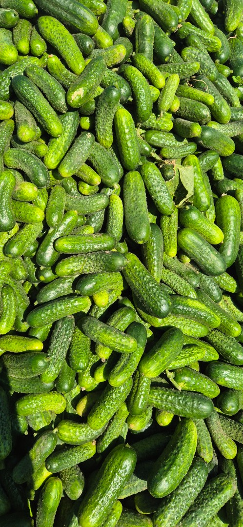 zdjecie-2