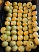 Sprzedam Lafayette kaliber 6,5-7 ok 1 paleta