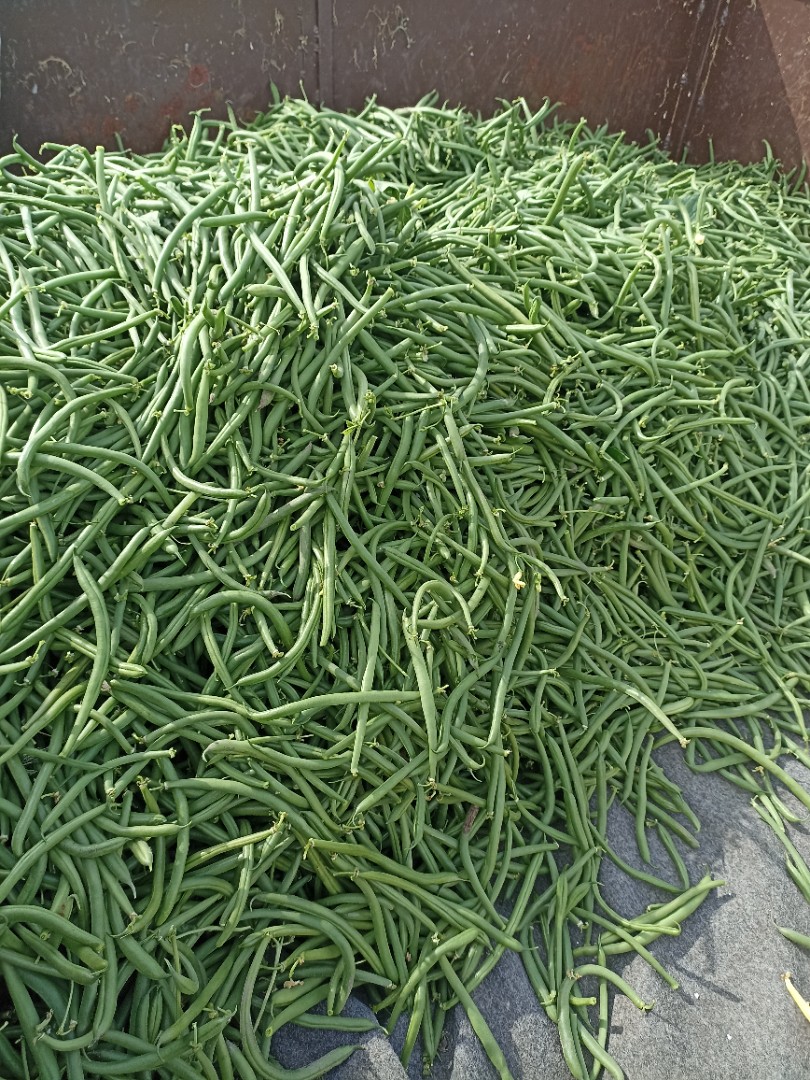 zdjecie-1