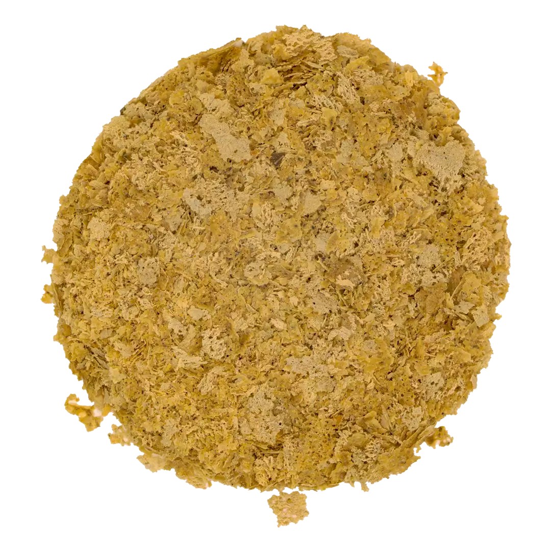 zdjecie-1