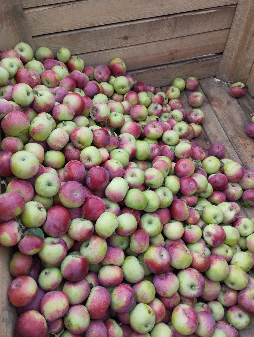 zdjecie-1