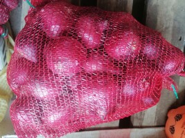 Witam mam na sprzedaż czerwoną cebulę pakowana po 5 kg lub luzem w skrzyni. Mam gotowe z 400 kg. Cena do negocjacji.