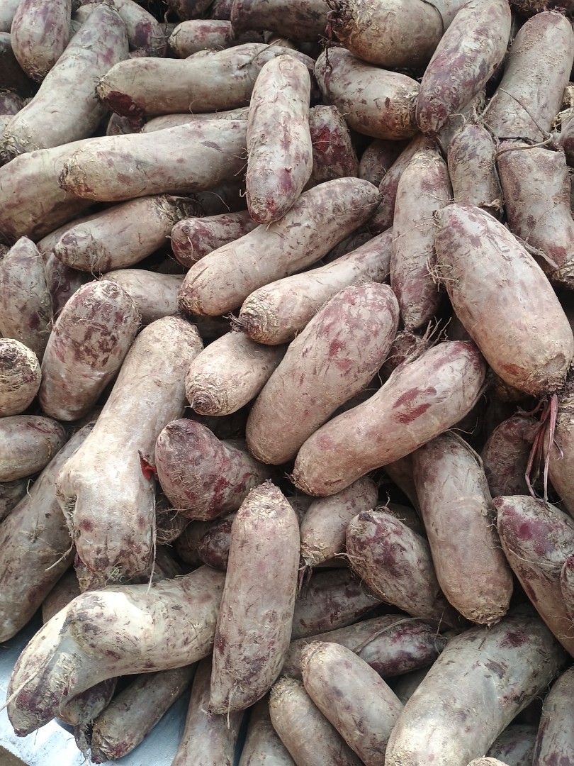 zdjecie-1