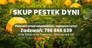 Firma TRAWKA & KTM – bezpośredni skup oraz profesjonalna obróbka nasion dyni oleistej. ​Siedziba naszej firmy znajduje się w największym w Polsce zagł